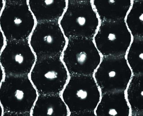 Harper Website Elements