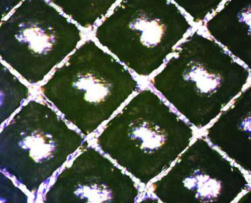 Harper Website Elements